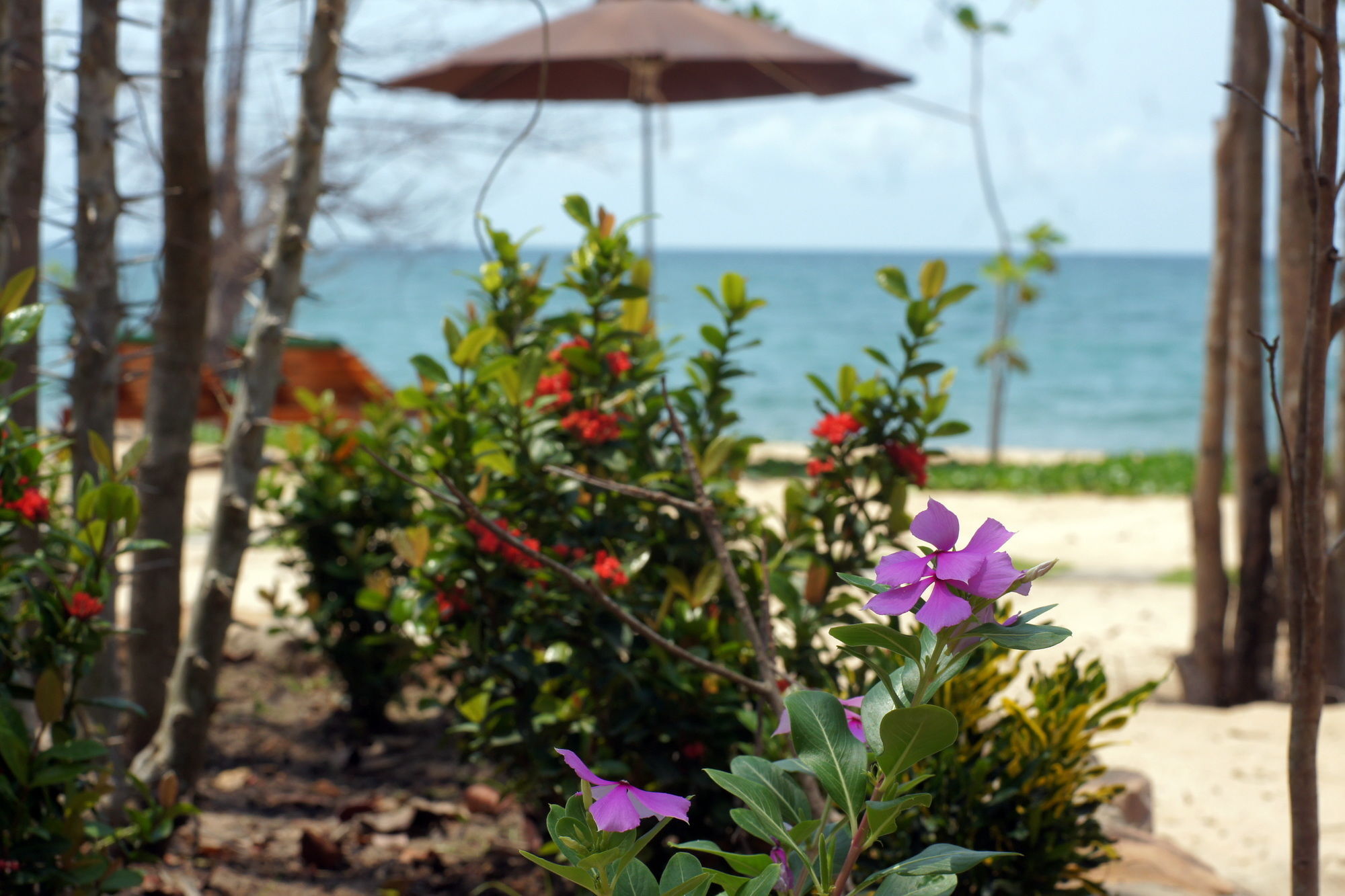 Gold Sand Beach Bungalow Phu Quoc Eksteriør bilde
